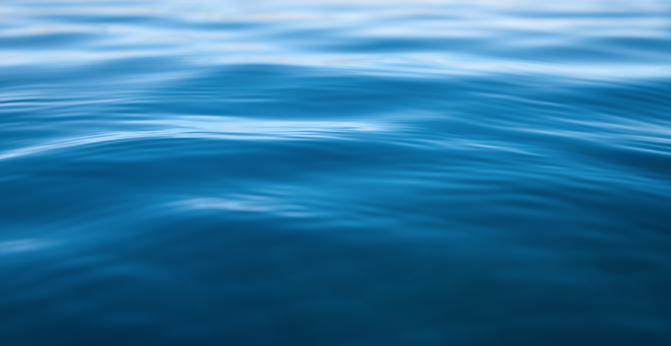 A body of water A body of water