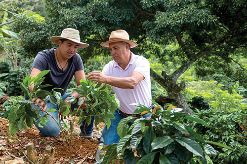 Nespresso AAA Sustainable Quality Programme