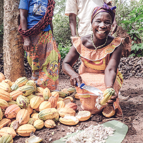 Nestlé Cocoa Plan
