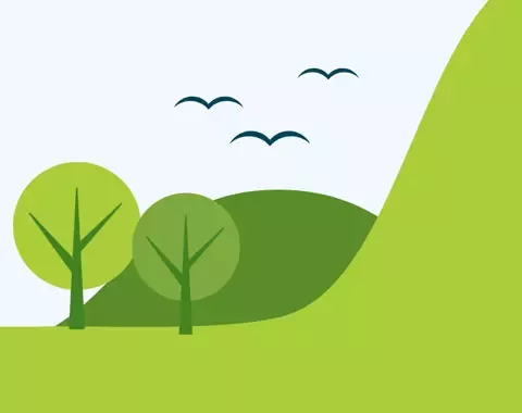 environment