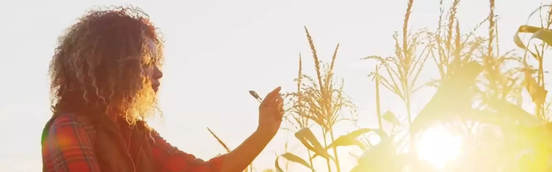 Regenerative agriculture