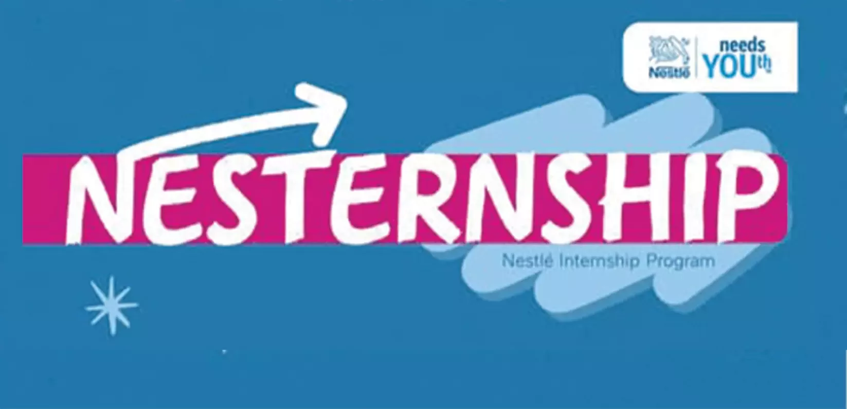 Nesternship program cover