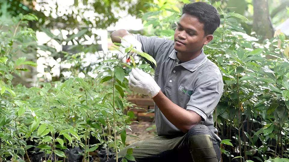 Forest Positive
